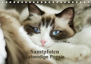 Samtpfoten Lebendige Poesie (Tischkalender 2018 DIN A5 quer) von Reiß-Seibert,  Marion