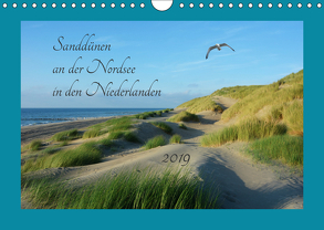 Sanddünen an der Nordsee in den Niederlanden (Wandkalender 2019 DIN A4 quer) von Evans,  Claudia