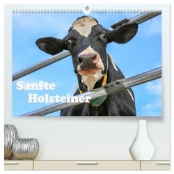 Sanfte Holsteiner (hochwertiger Premium Wandkalender 2024 DIN A2 quer), Kunstdruck in Hochglanz von JF Führer,  Jana