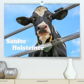Sanfte Holsteiner (Premium, hochwertiger DIN A2 Wandkalender 2022, Kunstdruck in Hochglanz) von JF Führer,  Jana