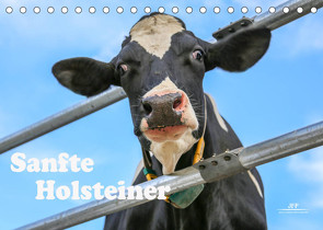 Sanfte Holsteiner (Tischkalender 2022 DIN A5 quer) von JF Führer,  Jana