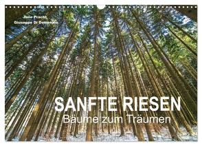 Sanfte Riesen – Bäume zum Träumen (Wandkalender 2024 DIN A3 quer), CALVENDO Monatskalender von Pracht und Giuseppe Di Domenico,  Jane