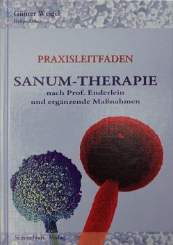 Sanum-Therapie nach Professor Enderlein und ergänzende Massnahmen – Praxisleitfaden von Weigel,  Günter