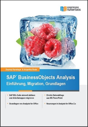 SAP BusinessObjects Analysis – Einführung, Migration, Grundlagen von Bode,  Angelika, Karakaya,  Zeynep