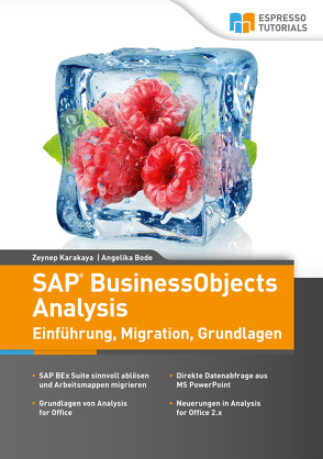 SAP BusinessObjects Analysis – Einführung, Migration, Grundlagen von Bode,  Angelika, Karakaya,  Zeynep