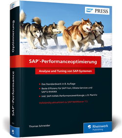 SAP-Performanceoptimierung von Schneider,  Thomas