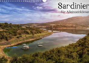 Sardinien – Für Alleinseinkönner (Wandkalender 2022 DIN A3 quer) von Wald,  Tom
