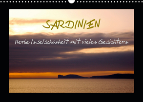 SARDINIEN – Herbe Inselschönheit mit vielen Gesichtern (Wandkalender 2020 DIN A3 quer) von Captainsilva