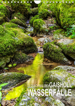 Sasbachwalden Gaishöll-Wasserfälle (Wandkalender 2023 DIN A4 hoch) von Peter,  Ansgar