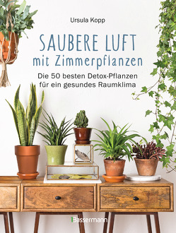 Saubere Luft mit Zimmerpflanzen von Kopp,  Ursula
