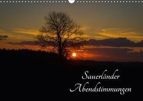 Sauerländer Abendstimmungen (Wandkalender 2018 DIN A3 quer) von Rein,  Simone