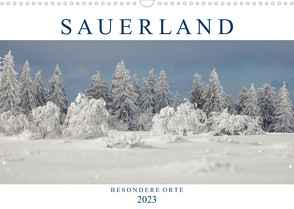 SAUERLAND – Besondere Orte (Wandkalender 2023 DIN A3 quer) von Bücker,  Heidi