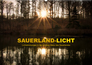 Sauerland-Licht – Lichtstimmungen in der schönen Natur des Sauerlandes (Wandkalender 2023 DIN A2 quer) von Bücker,  Heidi