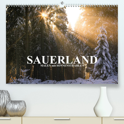Sauerland – Malen mit Sonnenstrahlen (Premium, hochwertiger DIN A2 Wandkalender 2023, Kunstdruck in Hochglanz) von Bücker,  Heidi