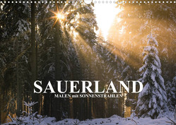 Sauerland – Malen mit Sonnenstrahlen (Wandkalender 2023 DIN A3 quer) von Bücker,  Heidi