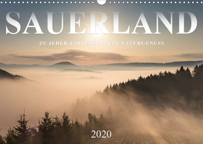 Sauerland, zu jeder Jahreszeit ein Naturgenuss (Wandkalender 2020 DIN A3 quer) von Bücker,  Heidi