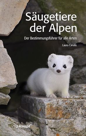 Säugetiere der Alpen von Canalis,  Laura, Turrini-Biedermann,  Tabea