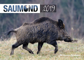 Saumond 2019