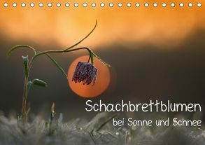 Schachbrettblumen bei Sonne und Schnee (Tischkalender 2018 DIN A5 quer) von Marklein,  Gabi
