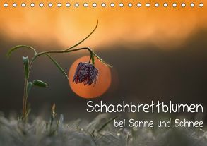 Schachbrettblumen bei Sonne und Schnee (Tischkalender 2019 DIN A5 quer) von Marklein,  Gabi
