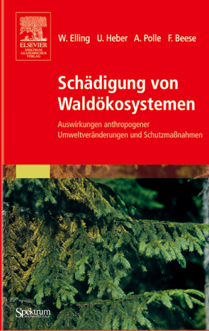 Schädigung von Waldökosystemen von Beese,  Friedrich, Elling,  Wolfram, Heber,  Ulrich, Polle,  Andrea
