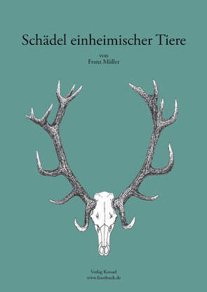 Schädel einheimischer Tiere von Müller,  Franz