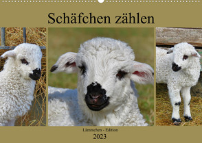 Schäfchen zählen – Lämmchen-Edition (Wandkalender 2023 DIN A2 quer) von Löwer,  Sabine
