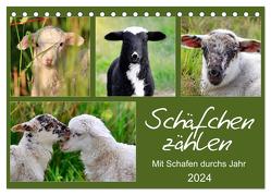 Schäfchen zählen – Mit Schafen durchs Jahr (Tischkalender 2024 DIN A5 quer), CALVENDO Monatskalender von Löwer,  Sabine