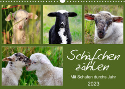 Schäfchen zählen – Mit Schafen durchs Jahr (Wandkalender 2023 DIN A3 quer) von Löwer,  Sabine
