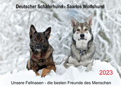 Schäferhund – Saarlos Wolfshund (Wandkalender 2023 DIN A2 quer) von Schiller,  Petra