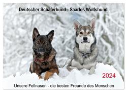 Schäferhund – Saarlos Wolfshund (Wandkalender 2024 DIN A2 quer), CALVENDO Monatskalender von Schiller,  Petra