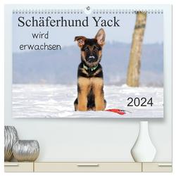 Schäferhund Yack wird erwachsen (hochwertiger Premium Wandkalender 2024 DIN A2 quer), Kunstdruck in Hochglanz von Schiller,  Petra