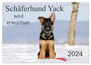 Schäferhund Yack wird erwachsen (Tischkalender 2024 DIN A5 quer), CALVENDO Monatskalender von Schiller,  Petra