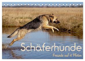 Schäferhunde – Freunde auf 4 Pfoten (Tischkalender 2024 DIN A5 quer), CALVENDO Monatskalender von Ebsen,  Natascha