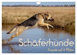 Schäferhunde – Freunde auf 4 Pfoten (Wandkalender 2024 DIN A4 quer), CALVENDO Monatskalender von Ebsen,  Natascha