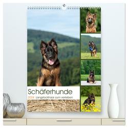 Schäferhunde Langstockhaar zum verlieben (hochwertiger Premium Wandkalender 2024 DIN A2 hoch), Kunstdruck in Hochglanz von Schiller,  Petra
