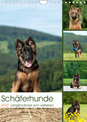 Schäferhunde Langstockhaar zum verlieben (Wandkalender 2022 DIN A4 hoch) von Schiller,  Petra
