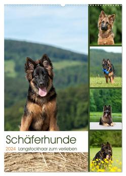 Schäferhunde Langstockhaar zum verlieben (Wandkalender 2024 DIN A2 hoch), CALVENDO Monatskalender von Schiller,  Petra