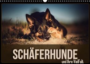 Schäferhunde und Ihre Vielfalt (Wandkalender 2019 DIN A3 quer) von Wobith Photography,  Sabrina