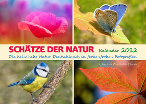 SCHÄTZE DER NATUR – Kalender 2022 von du Plessis,  Claudia, Du Plessis,  Wynand