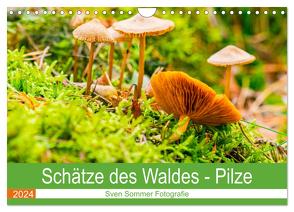 Schätze des Waldes – Pilze (Wandkalender 2024 DIN A4 quer), CALVENDO Monatskalender von Sommer Fotografie,  Sven