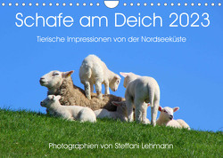 Schafe am Deich 2023. Tierische Impressionen von der Nordseeküste (Wandkalender 2023 DIN A4 quer) von Lehmann,  Steffani