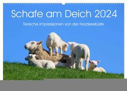 Schafe am Deich 2024. Tierische Impressionen von der Nordseeküste (Wandkalender 2024 DIN A2 quer), CALVENDO Monatskalender von Lehmann,  Steffani