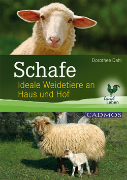 Schafe von Dahl,  Dorothee