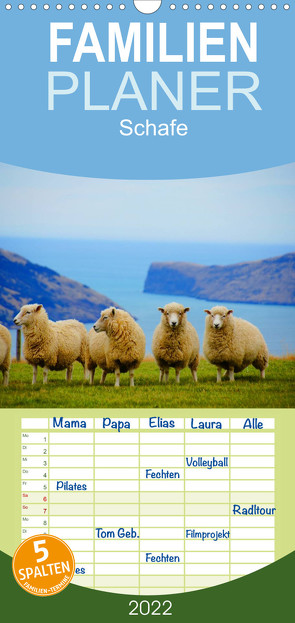 Familienplaner Schafe (Wandkalender 2022 , 21 cm x 45 cm, hoch) von Stanzer,  Elisabeth