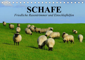 Schafe. Friedliche Rasentrimmer und Einschlafhilfen (Tischkalender 2022 DIN A5 quer) von Stanzer,  Elisabeth