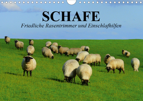 Schafe. Friedliche Rasentrimmer und Einschlafhilfen (Wandkalender 2021 DIN A4 quer) von Stanzer,  Elisabeth