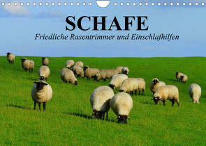 Schafe. Friedliche Rasentrimmer und Einschlafhilfen (Wandkalender 2022 DIN A4 quer) von Stanzer,  Elisabeth
