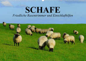 Schafe. Friedliche Rasentrimmer und Einschlafhilfen (Wandkalender 2023 DIN A2 quer) von Stanzer,  Elisabeth