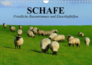 Schafe. Friedliche Rasentrimmer und Einschlafhilfen (Wandkalender 2023 DIN A4 quer) von Stanzer,  Elisabeth